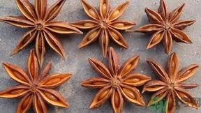 煲汤可以放八角吗?煲汤能放八角吗? 煲汤可以放八角吗?煲汤能放八角吗?