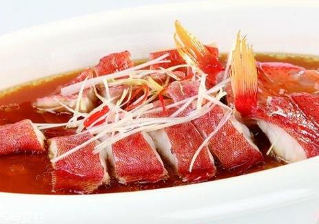 东星斑多少钱一斤 挑选东星斑的方法 东星斑多少钱一斤 挑选东星斑的方法