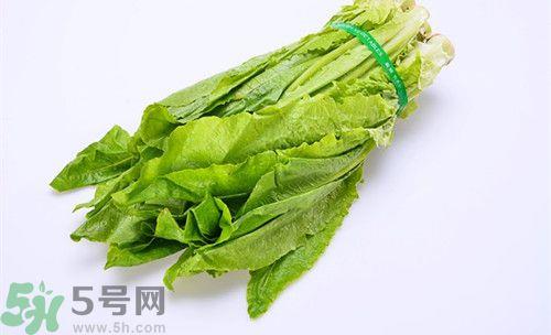 油麦菜孕妇能吃吗?孕妇吃油麦菜的好处 油麦菜孕妇能吃吗?孕妇吃油麦菜的好处