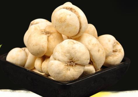 川贝母不能和什么同吃 搭配禁忌 川贝母不能和什么同吃 搭配禁忌