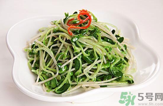 怎样自己发绿豆芽？绿豆芽怎样自己发？