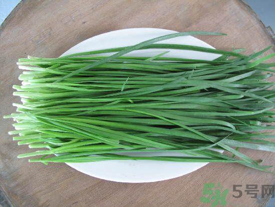 粽子可以和韭菜一起吃吗?粽子能和韭菜同吃吗? 粽子可以和韭菜一起吃吗?粽子能和韭菜同吃吗?