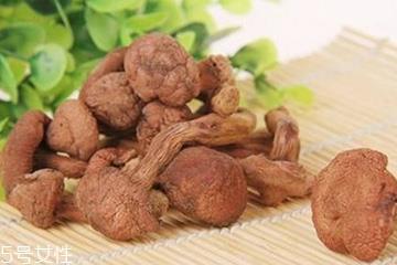 松蘑的功效和作用 松蘑的好处 松蘑的功效和作用 松蘑的好处