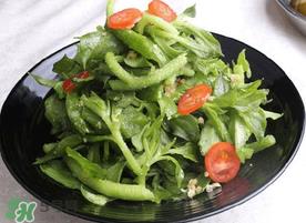 冰菜怎么凉拌?冰菜可以用沙拉酱拌吗? 冰菜怎么凉拌?冰菜可以用沙拉酱拌吗?