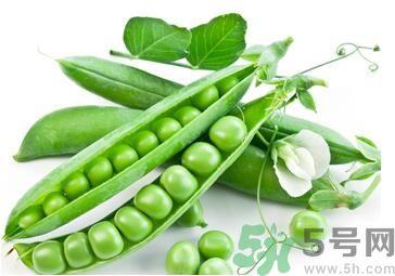 豌豆是凉性的吗?豌豆是凉性还是热性? 豌豆是凉性的吗?豌豆是凉性还是热性?