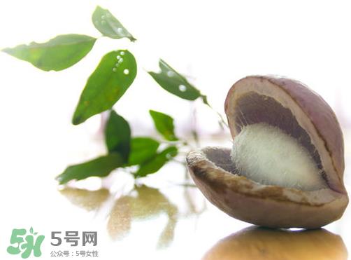 八月炸什么味道 八月炸是什么样的 八月炸什么味道 八月炸是什么样的