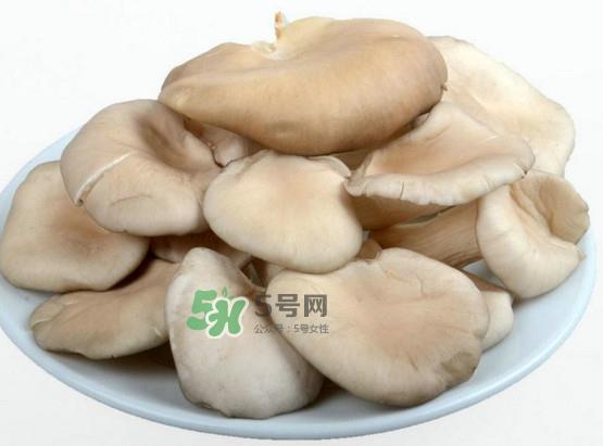 秀珍菇可以和海带一起吃吗？海带能和秀珍菇一起吃吗