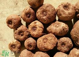 魔芋可以放冰箱吗？魔芋能放冰箱冷藏吗？