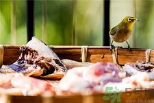 立冬后可以腌腊肉吗?腊肉什么时候腌制最好?