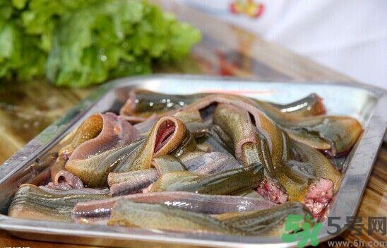 吃鳝鱼可以喝牛奶吗?鳝鱼能和牛奶一起吃吗? 吃鳝鱼可以喝牛奶吗?鳝鱼能和牛奶一起吃吗?