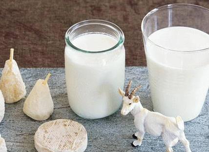 羊奶粉怎么冲泡 羊奶粉搭配建议