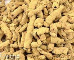 巴戟天的营养价值 提升免疫力 巴戟天的营养价值 提升免疫力