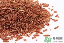 红米的营养价值 红米的功效与作用