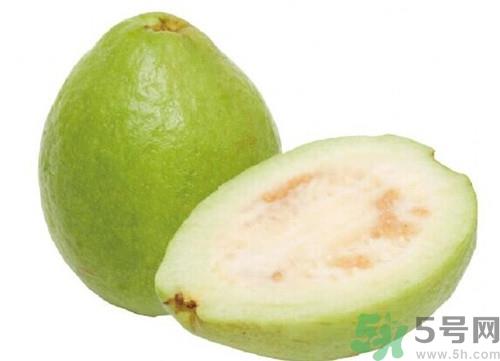 吃番石榴会便秘吗?番石榴怎么吃不便秘