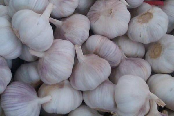 大蒜可以放冰箱保存吗 大蒜的保存方法