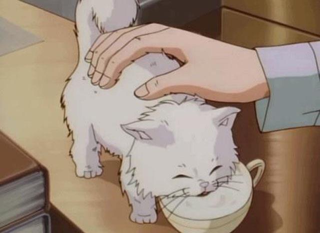 情感无事献殷勤什么意思(无事献殷勤高情商回复) 1