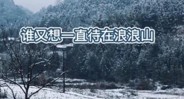 热梗浪浪山到底是什么意思(浪浪山出自哪个动漫) 3