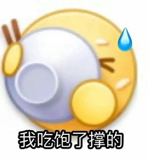 热梗我姓石梗是什么意思 1