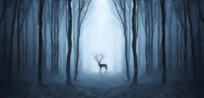 ​如何知道一个男人心里有没有你