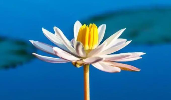 5d29177489743a94d3c0d5b55b64af8a.png 微信截图_20230831163155.png