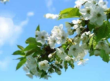 有意义的字有哪些