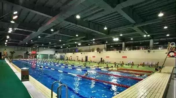 杭州泳池超全攻略!五星酒店泳池、性价比泳池,总有一款适合你!