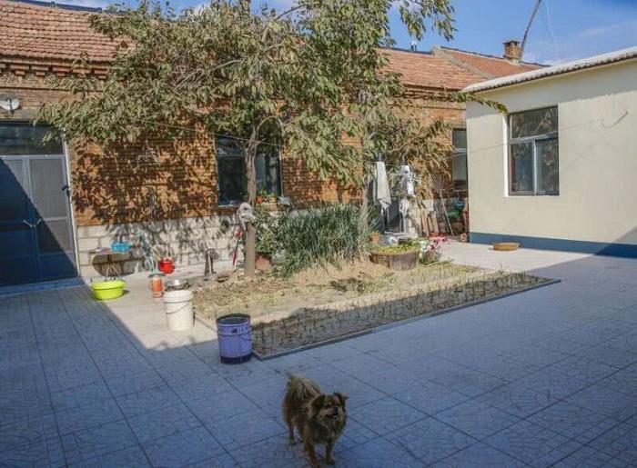 农村装天然气要交多少接口费？村干部：有规定的，补贴别忘领了