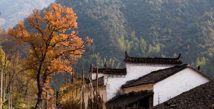 江西婺源,中国最美小镇之一,胜过西方无数美景