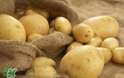 土豆皮可以吃吗?土豆皮的功效与作用