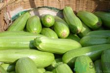 西葫芦是什么菜?西葫芦是什么样子的?.png
