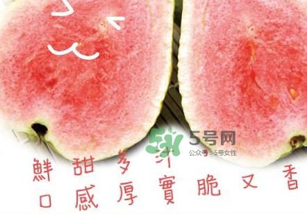 芭乐可以减肥吗?吃芭乐可以喝牛奶吗? 芭乐可以减肥吗?吃芭乐可以喝牛奶吗?