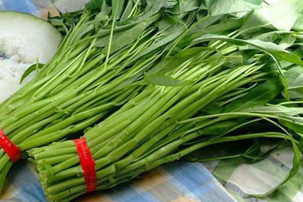 空心菜发芽能吃吗 空心菜发芽不建议食用 空心菜发芽能吃吗 空心菜发芽不建议食用
