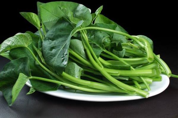 空心菜发芽能吃吗 空心菜发芽不建议食用 空心菜发芽能吃吗 空心菜发芽不建议食用