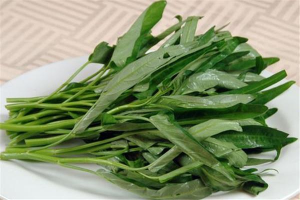 空心菜发芽能吃吗 空心菜发芽不建议食用 空心菜发芽能吃吗 空心菜发芽不建议食用