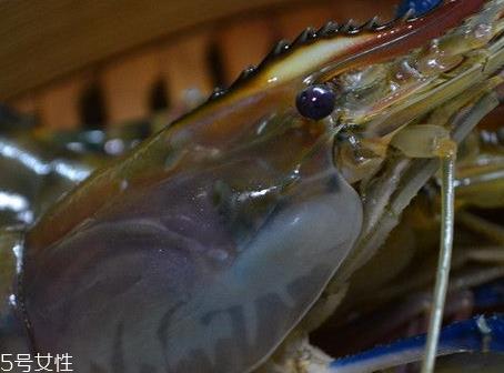 罗氏虾和基围虾的区别 罗氏虾和基围虾哪个营养价值高
