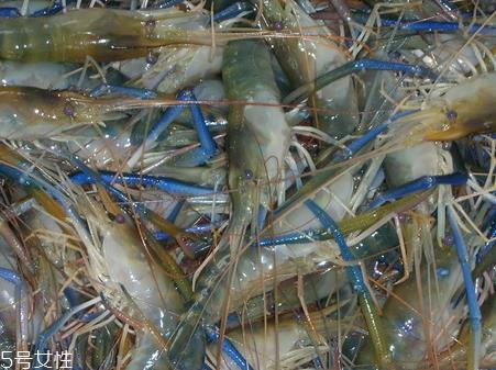 罗氏虾和基围虾的区别 罗氏虾和基围虾哪个营养价值高