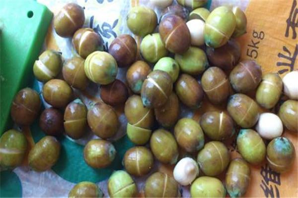 莲子是寒性的吗 莲子是属于平性的 莲子是寒性的吗 莲子是属于平性的