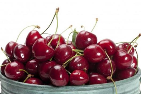 车厘子草酸含量高吗 车厘子花青素含量高吗 车厘子草酸含量高吗 车厘子花青素含量高吗