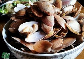 花甲冷水下锅还是热水?煮花甲用冷水还是热水? 花甲冷水下锅还是热水?煮花甲用冷水还是热水?