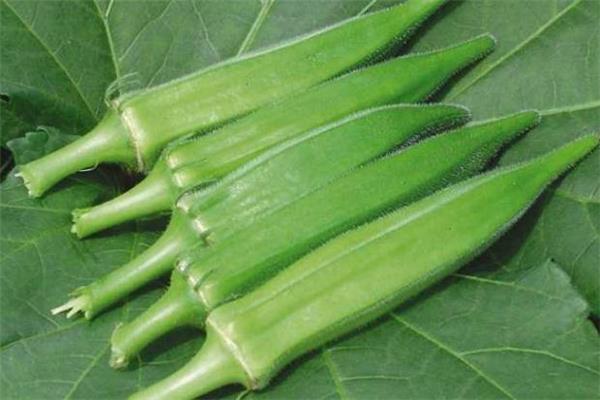 黄秋葵是酸性还是碱性 有益身体健康 黄秋葵是酸性还是碱性 有益身体健康