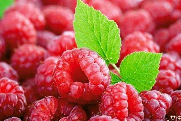 什么是刺泡儿呢 刺泡儿可以吃吗 什么是刺泡儿呢 刺泡儿可以吃吗