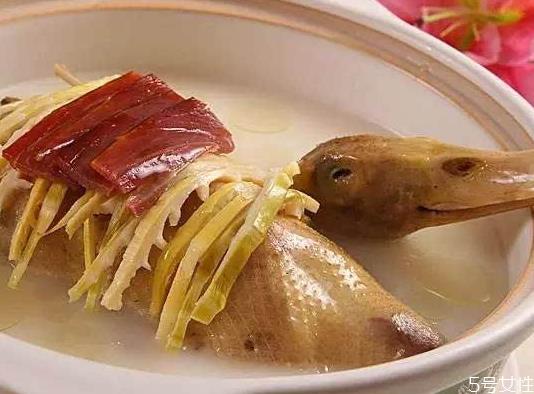 鸭子汤用什么鸭子最好 老鸭汤是公鸭好还是母鸭好 鸭子汤用什么鸭子最好 老鸭汤是公鸭好还是母鸭好