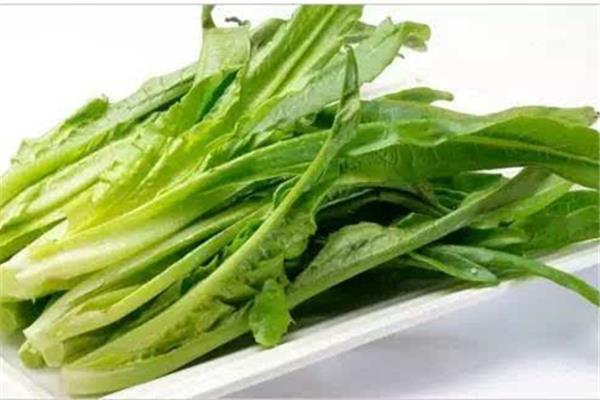 油麦菜发苦是怎么回事 油麦菜发苦能吃吗 油麦菜发苦是怎么回事 油麦菜发苦能吃吗