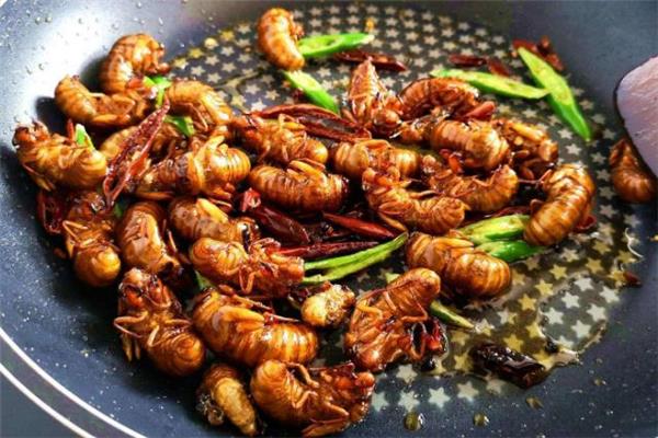 女人吃知了猴好吗 女人吃知了猴有什么好处