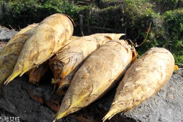 冬笋怎么处理 这样处理才对 冬笋怎么处理 这样处理才对