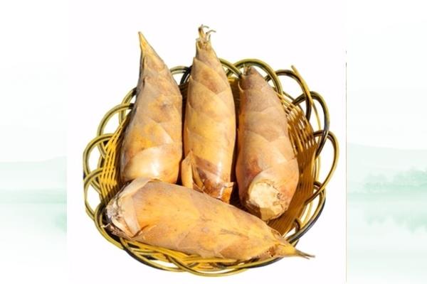 冬笋怎么处理 这样处理才对 冬笋怎么处理 这样处理才对