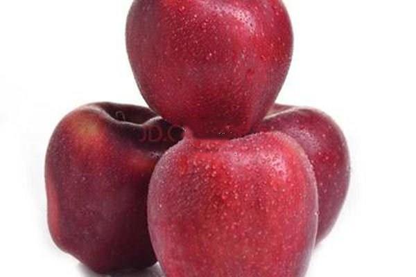 国产的蛇果有营养吗 国产的蛇果多少钱一个 国产的蛇果有营养吗 国产的蛇果多少钱一个