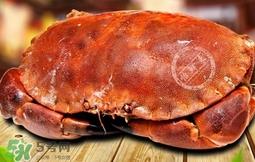 面包蟹可以直接冷冻么？熟冻面包蟹需要处理吗