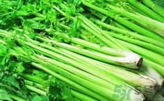 十大最难吃蔬菜出炉,你选哪一个？