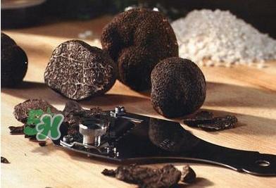 松露是保健品吗?松露怎么保存 松露是保健品吗?松露怎么保存